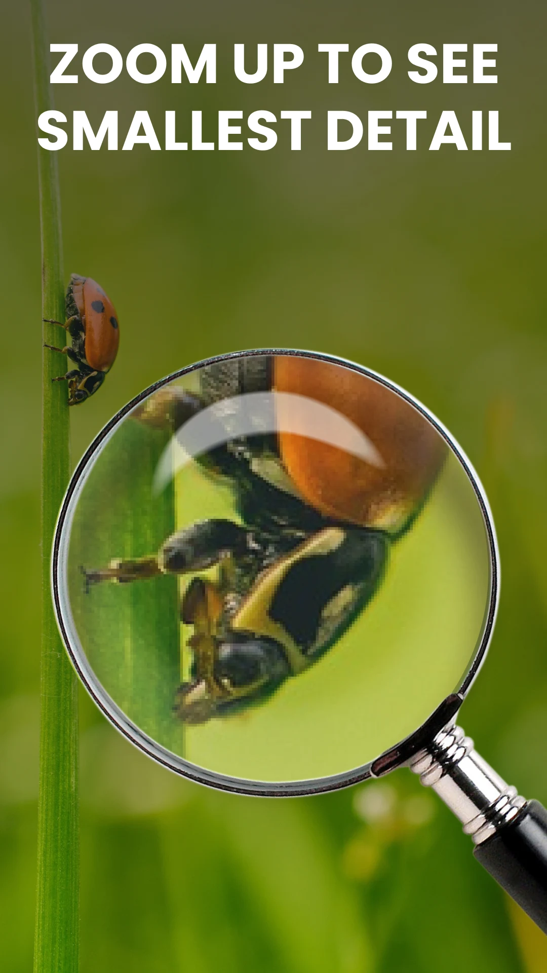 Magnifier: Magnifying Glass screenshot